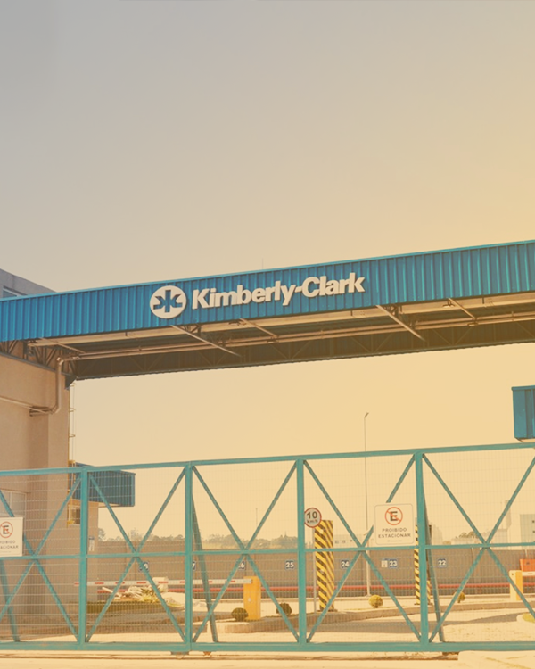 Kimberly Clark Suzano
